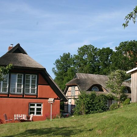 Dorphus Villa Neuenkirchen auf Rugen Eksteriør bilde